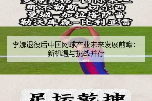 李娜退役后中国网球产业未来发展前瞻：新机遇与挑战并存